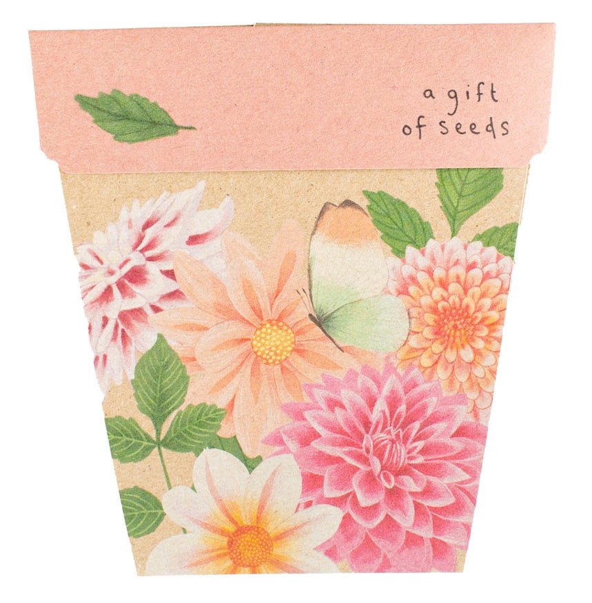 Gift of Seeds Greeting Card - Dahlia - Dusty Blend