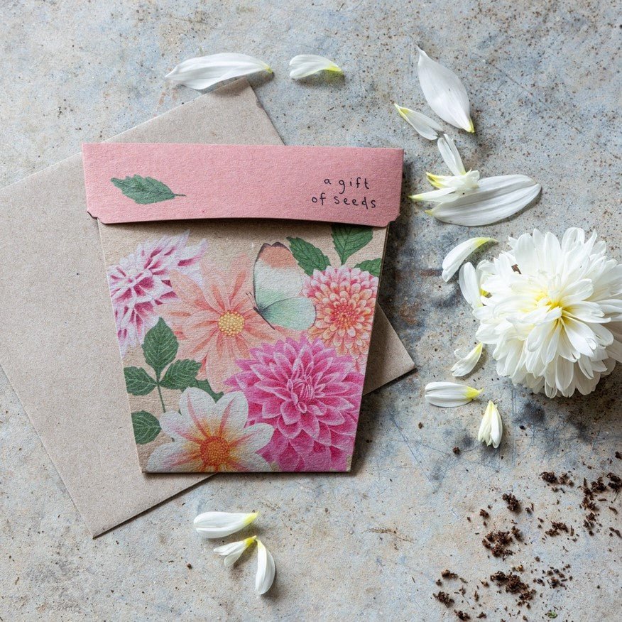 Gift of Seeds Greeting Card - Dahlia - Dusty Blend