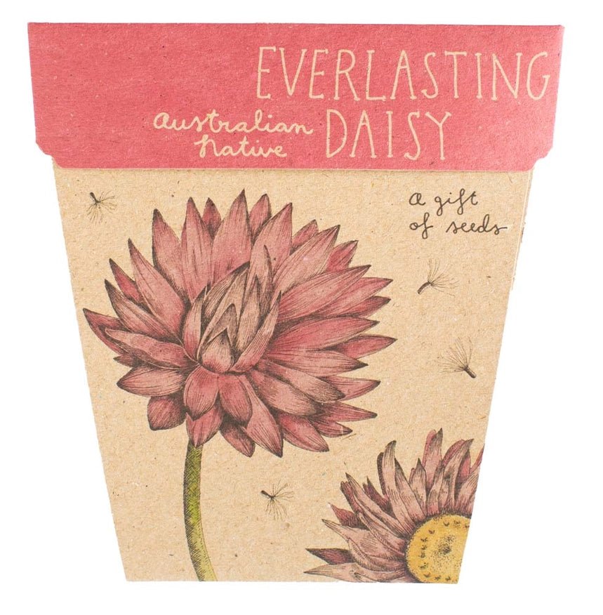 Gift of Seeds Greeting Card - Everlasting Daisy - Dusty Blend