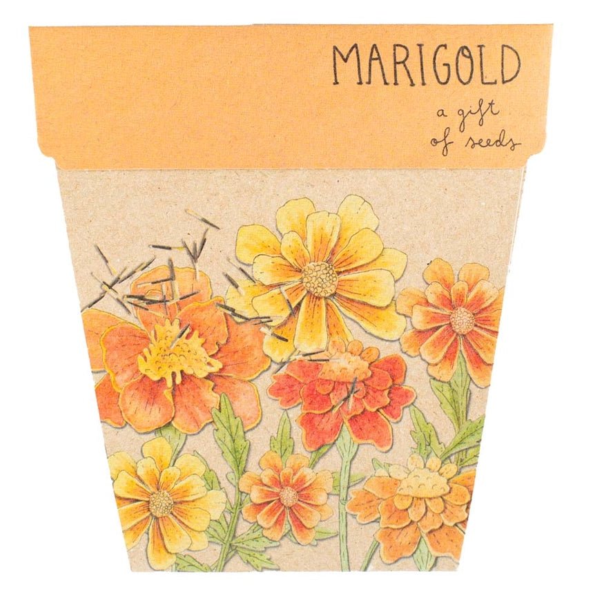 Gift of Seeds Greeting Card - Marigolds - Dusty Blend